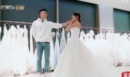 张嘉倪娱乐圈爆料视频播放,揭秘明星幕后真相