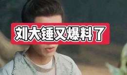 刘大锤又爆料白鹿视频,白鹿视频内容引发热议