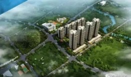 番禺楼盘爆料事件视频,揭露背后的真相与争议